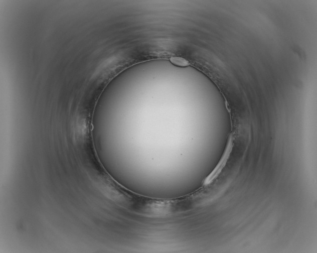 X0000112760084200908271629