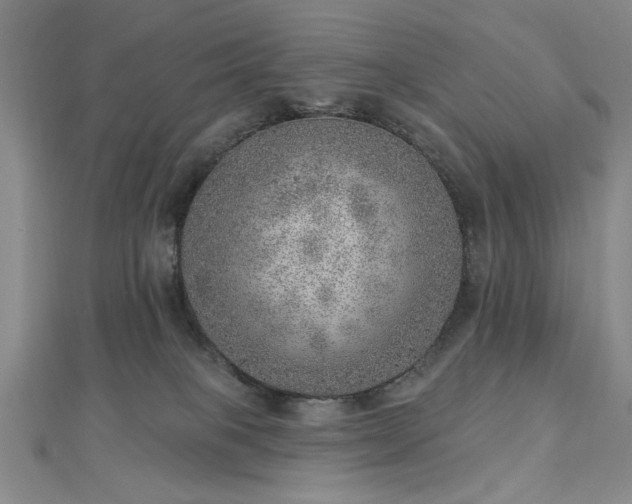 X0000112760085200908271629