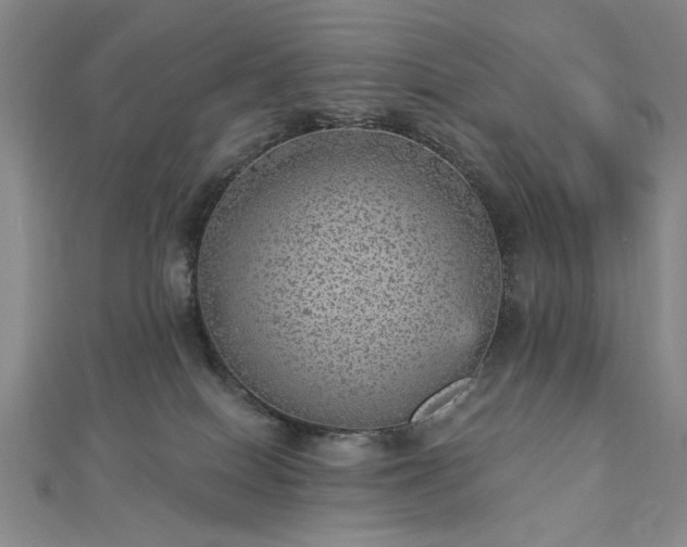 X0000112760086200908271629