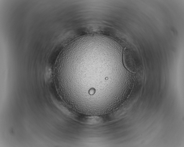 X0000112760087200908271629