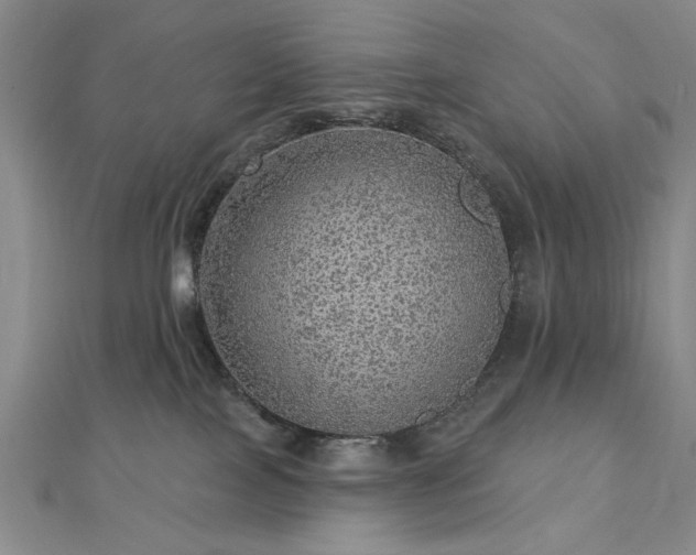 X0000112760089200908271629