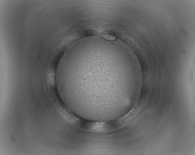 X0000112760090200908271629