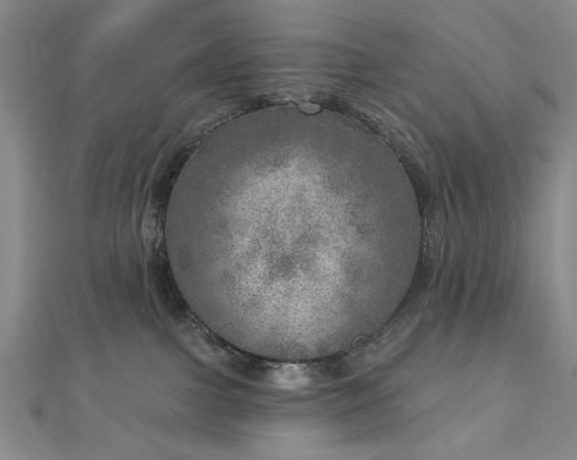 X0000112760091200908271629