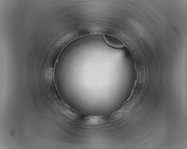 X0000112760093200908271629