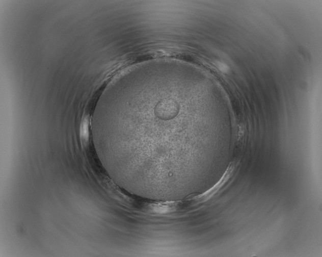 X0000112760094200908271629