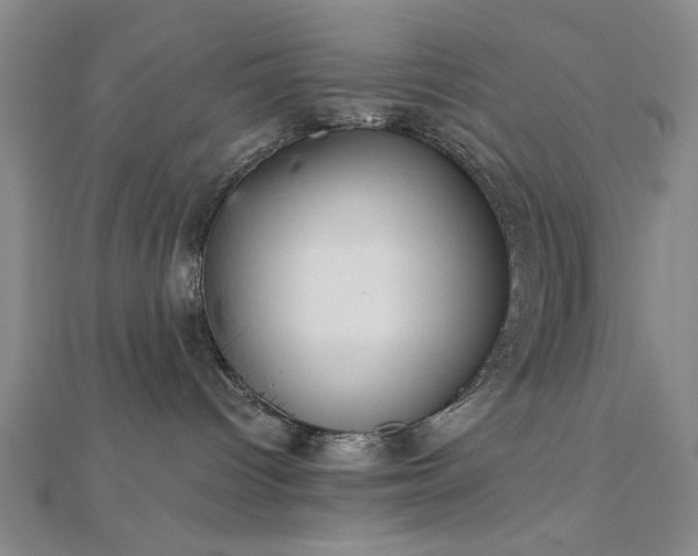 X0000112760096200908271629