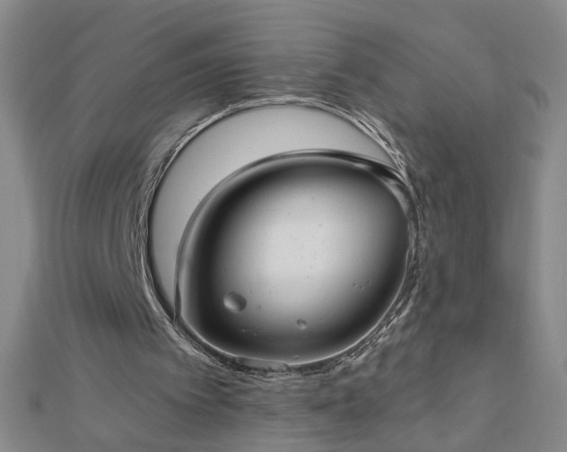 X0000112760097200908271628