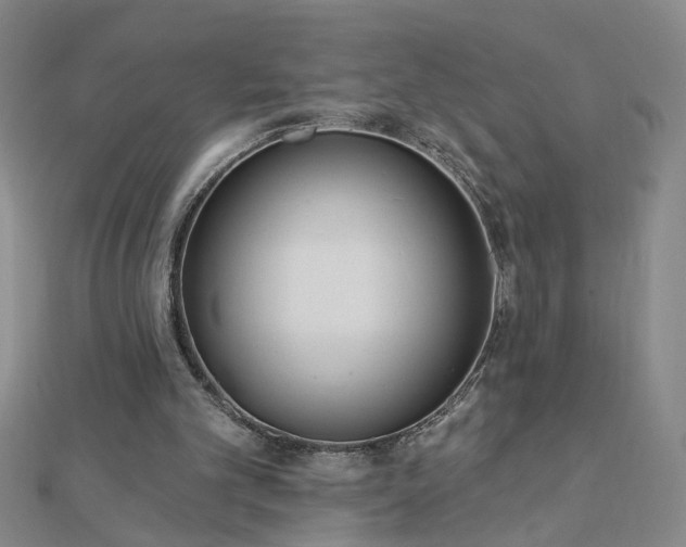 X0000112760101200908271628