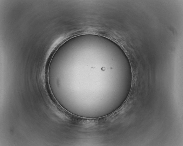 X0000112760102200908271628