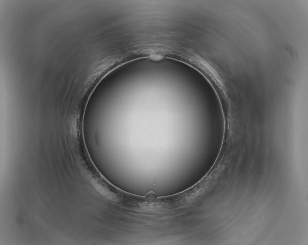 X0000112760105200908271628