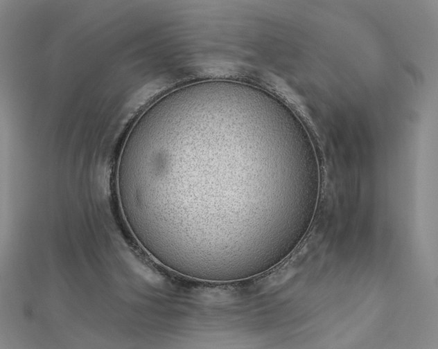 X0000112760106200908271628