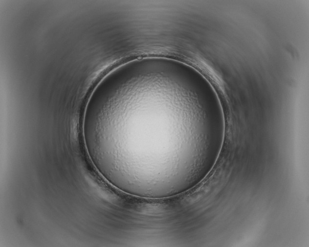 X0000112760107200908271628