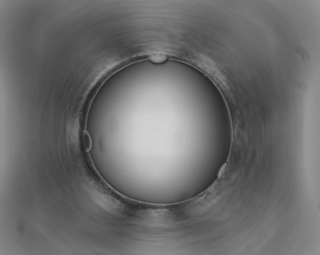 X0000112760108200908271628