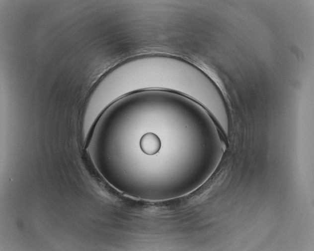 X0000112760109200908271628