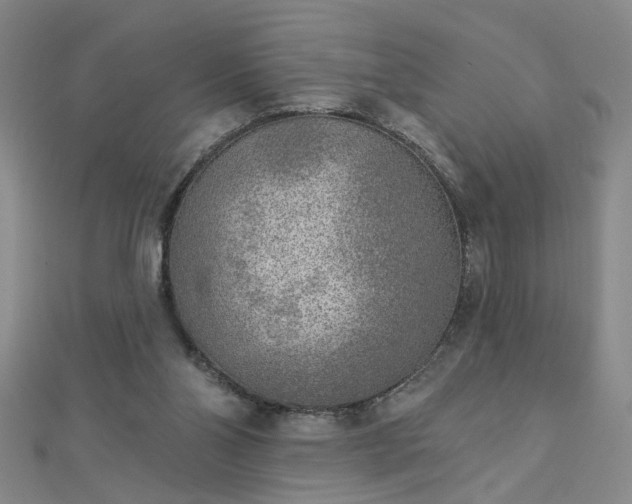 X0000112760110200908271628