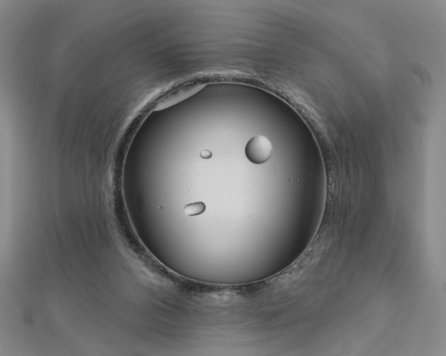 X0000112760112200908271628