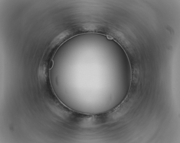 X0000112760116200908271628