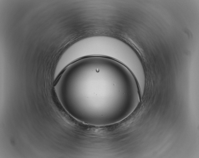 X0000112760117200908271628