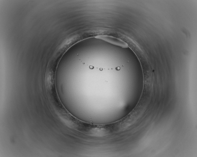 X0000112760119200908271628