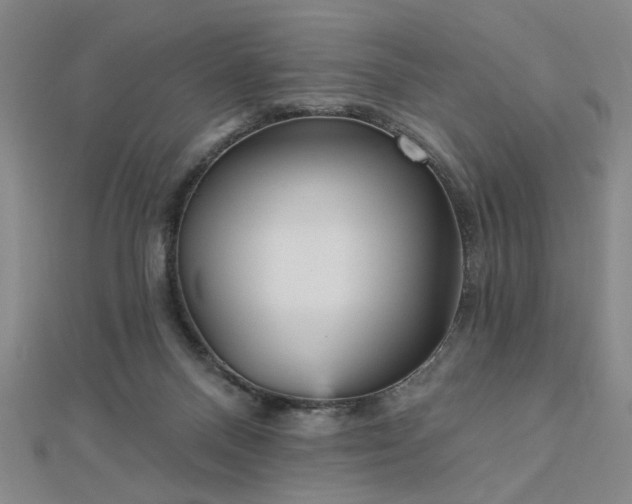 X0000112760120200908271628