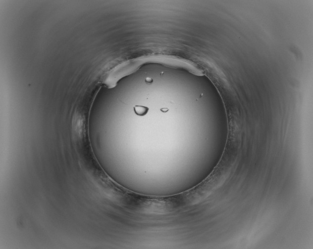 X0000112760123200908271628