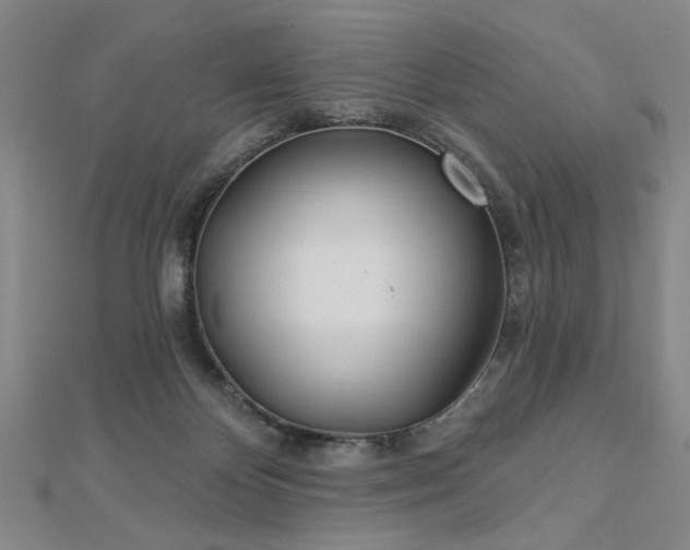 X0000112760124200908271628