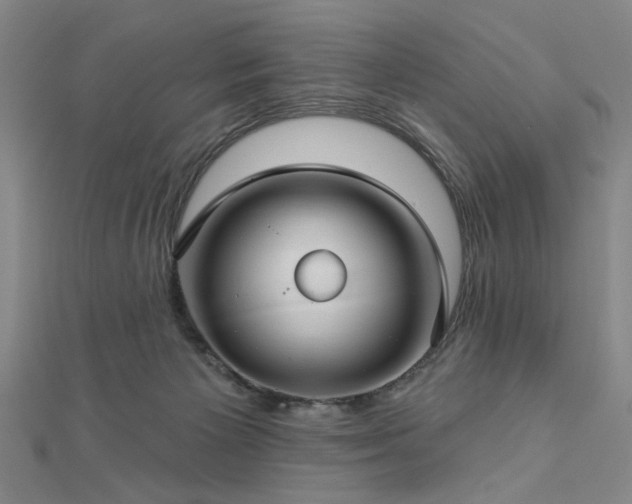 X0000112760125200908271628