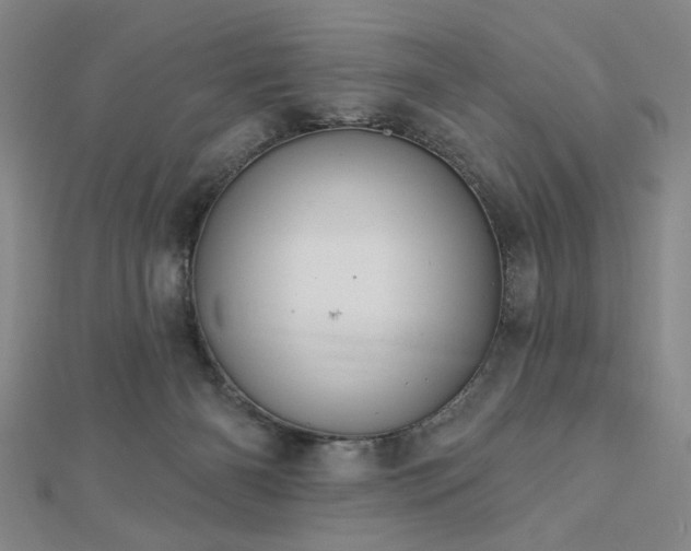 X0000112760126200908271628