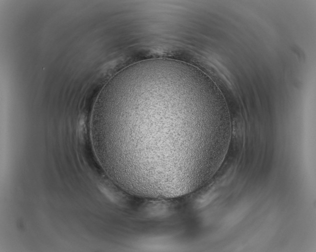 X0000112760127200908271628