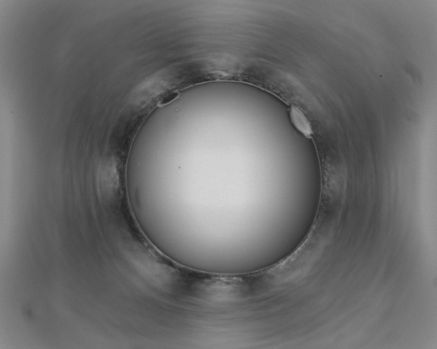 X0000112760128200908271628
