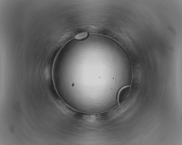 X0000112760131200908271628
