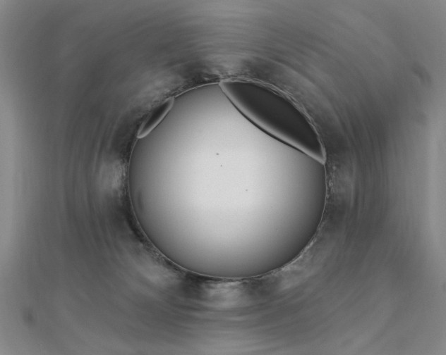 X0000112760132200908271628