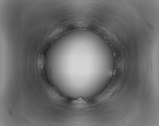 X0000112760133200908271628