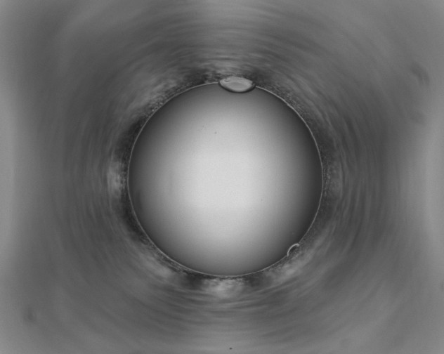 X0000112760135200908271628