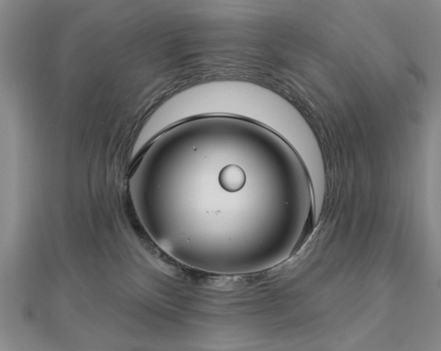 X0000112760136200908271628