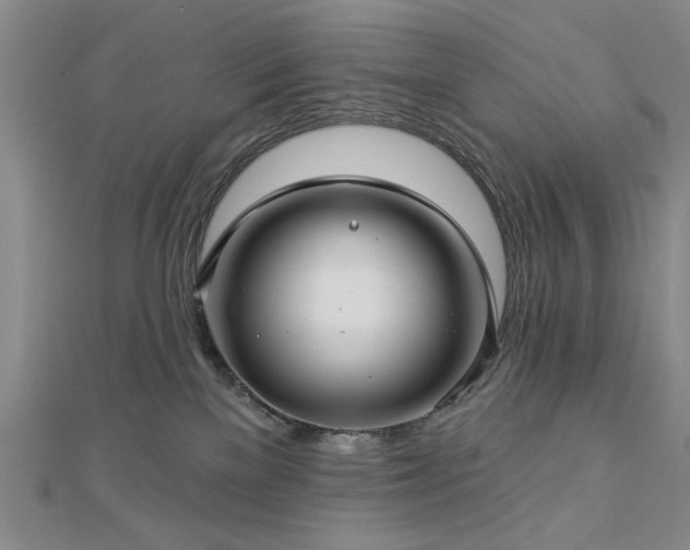 X0000112760137200908271628