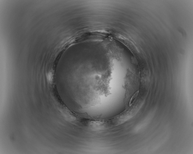 X0000112760139200908271628