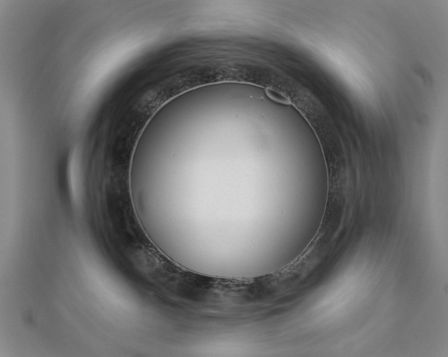 X0000112760140200908271628
