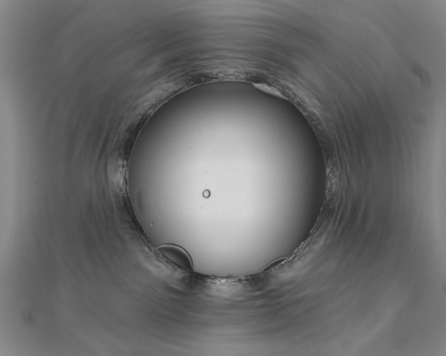 X0000112760141200908271628