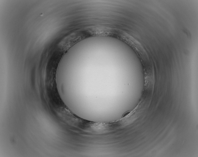 X0000112760142200908271628