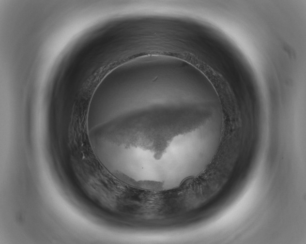 X0000112760143200908271628