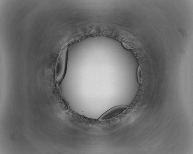 X0000112760144200908271628