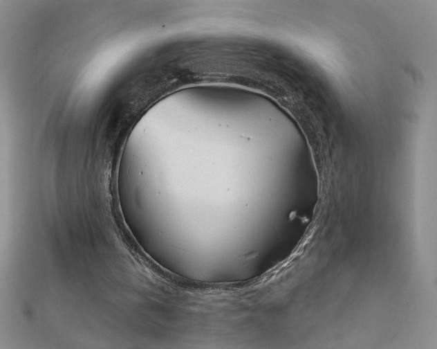X0000112760146200908271627