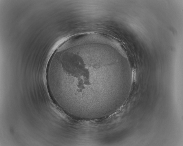 X0000112760147200908271627