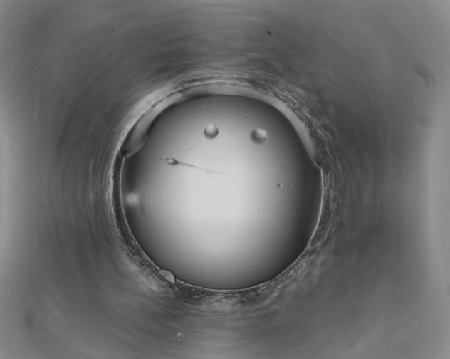 X0000112760148200908271627
