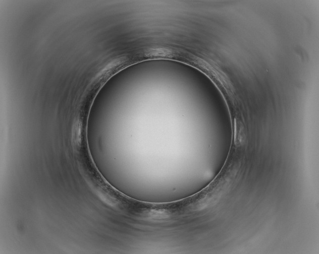 X0000112760157200908271627