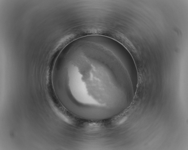 X0000112760163200908271627