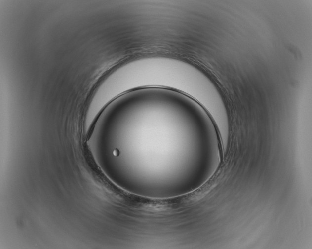 X0000112760164200908271627