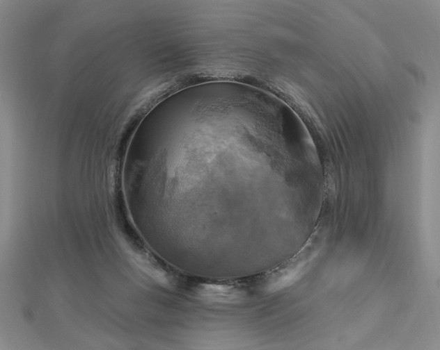 X0000112760167200908271627