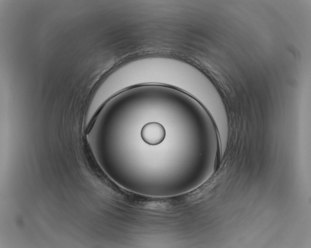 X0000112760168200908271627